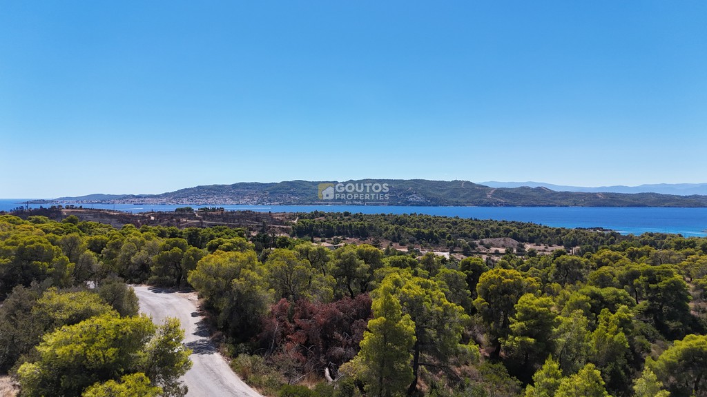 Αγροτεμάχια 4.003,94 τ.μ. προς πώληση, Χηνίτσα