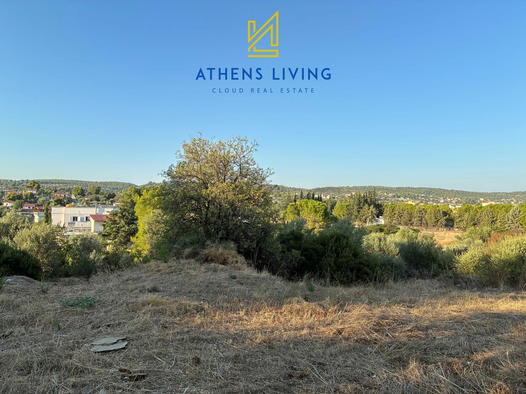 Οικόπεδο 550 τ.μ. πρός πώληση, Βοιωτία, Σχηματάρι