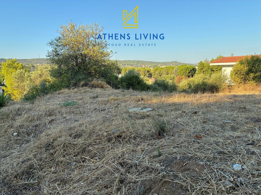Οικόπεδο 550 τ.μ. πρός πώληση, Βοιωτία, Σχηματάρι