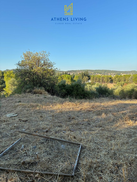 Οικόπεδο 550 τ.μ. πρός πώληση, Βοιωτία, Σχηματάρι