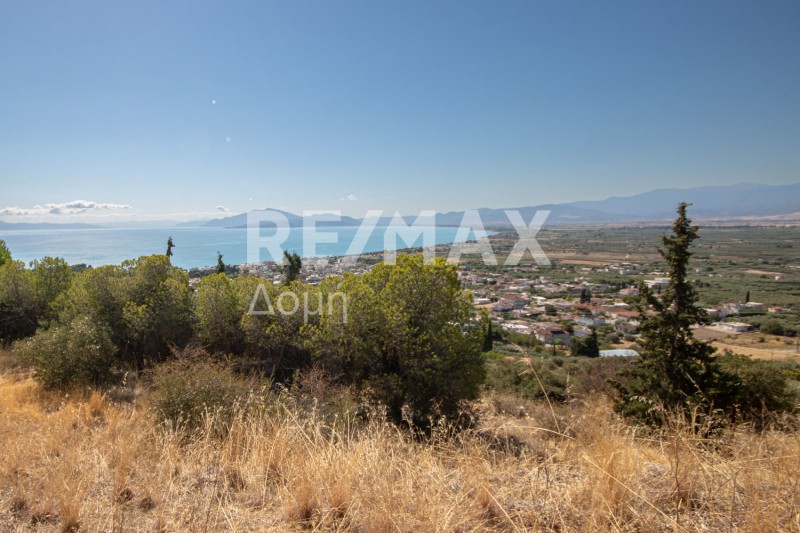 Αγροτεμάχια 4.200 τ.μ. πρός πώληση, Μαγνησία, Νέα Αγχίαλος