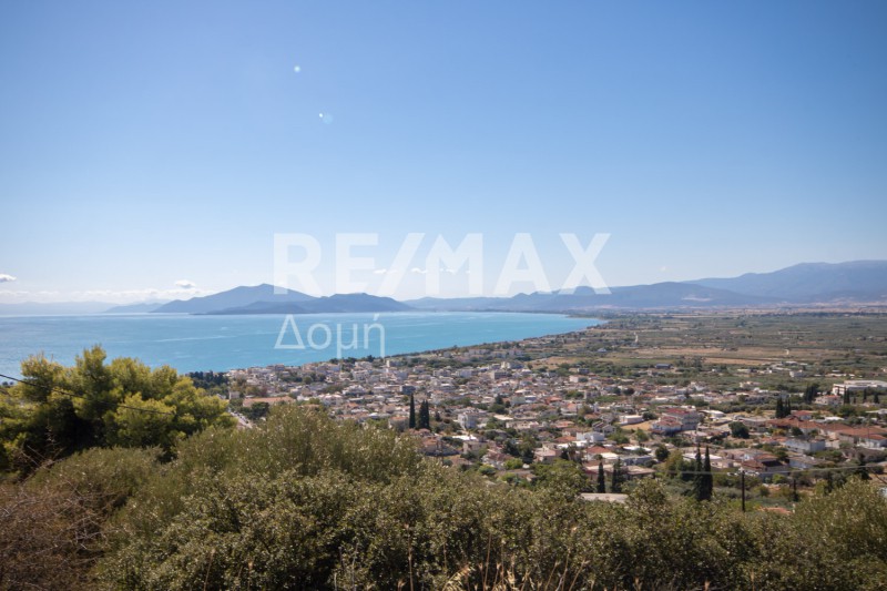 Αγροτεμάχια 4.200 τ.μ. πρός πώληση, Μαγνησία, Νέα Αγχίαλος