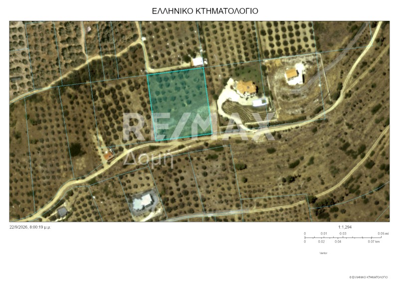Αγροτεμάχια 4.200 τ.μ. πρός πώληση, Μαγνησία, Νέα Αγχίαλος
