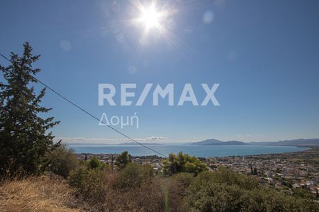 Αγροτεμάχια 4.200 τ.μ. προς πώληση