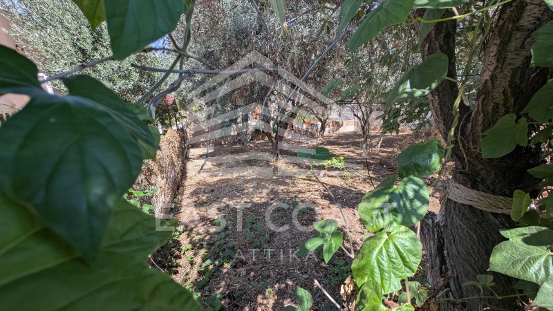 Οικόπεδο 225 τ.μ. πρός πώληση, Αθήνα - Ανατολικά Προάστια, Νέα Μάκρη