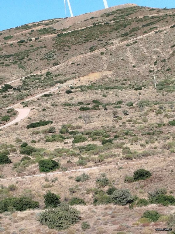 Αγροτεμάχια 50.578 τ.μ. πρός πώληση, Βοιωτία, Θήβα