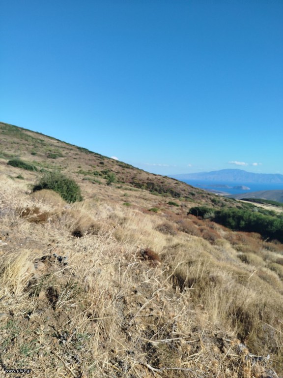 Αγροτεμάχια 50.578 τ.μ. πρός πώληση, Βοιωτία, Θήβα
