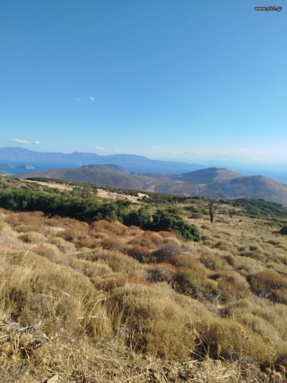 Αγροτεμάχια 50.578 τ.μ. πρός πώληση, Βοιωτία, Θήβα
