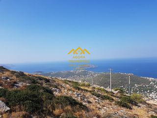 Οικόπεδο 1.273 τ.μ. πρός πώληση, Αττική - Υπόλοιπο, Σαρωνίδα-thumb-1