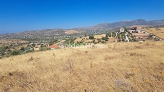Αγροτεμάχια 6.991 τ.μ. για πώληση
