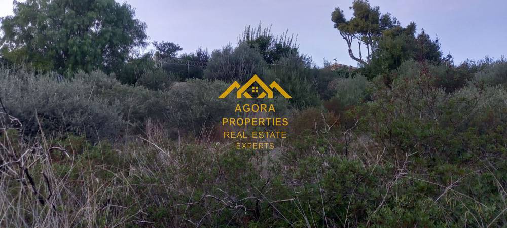 Οικόπεδο 1.035 τ.μ. πρός πώληση, Αθήνα - Ανατολικά Προάστια, Νέα Μάκρη