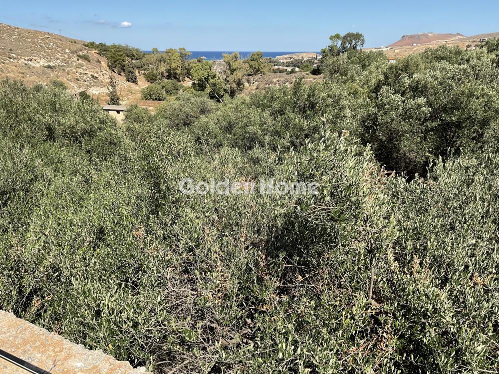 Αγροτεμάχια 5.334 τ.μ. προς πώληση, Άγιος Ιωάννης Νέας Αλικαρνασσού