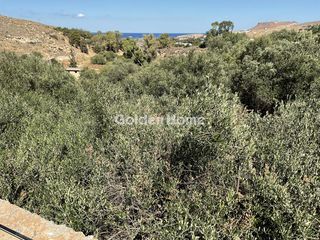 Αγροτεμάχια 5.334 τ.μ. για πώληση