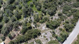 Αγροτεμάχια 6.278 τ.μ. για πώληση, Ν. Λευκάδας, Λευκάδα-thumb-5