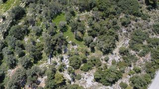 Αγροτεμάχια 6.278 τ.μ. για πώληση, Ν. Λευκάδας, Λευκάδα-thumb-6