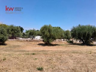 Οικόπεδο 3.650,26 τ.μ. για πώληση