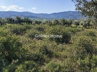 Αγροτεμάχια 4.267 τ.μ. πρός πώληση