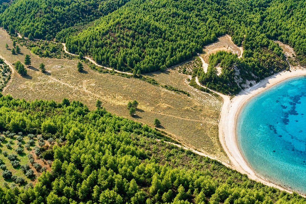 Αγροτεμάχια 94.370 τ.μ. προς πώληση, Κοτσικιά Νηλέως