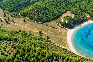Αγροτεμάχια 94.370 τ.μ. για πώληση, Εύβοια, Νηλέα-thumb-2