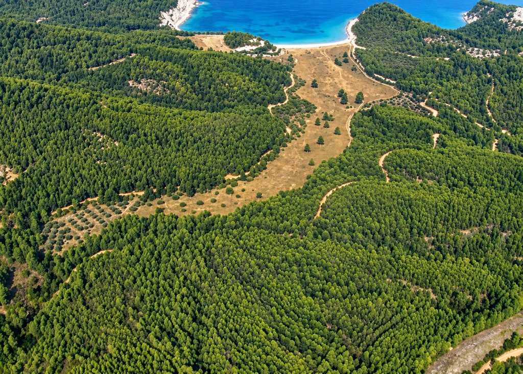 Αγροτεμάχια 94.370 τ.μ. προς πώληση, Κοτσικιά Νηλέως