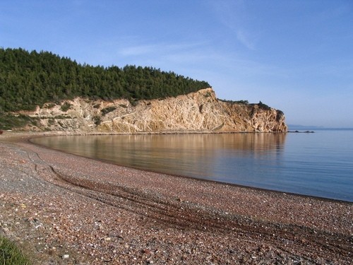 Αγροτεμάχια 94.370 τ.μ. προς πώληση, Κοτσικιά Νηλέως