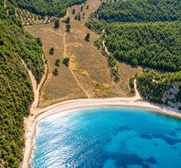 Αγροτεμάχια 94.370 τ.μ. για πώληση, Εύβοια, Νηλέα-thumb-3