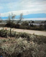 Land plot 60.000 sqm for sale