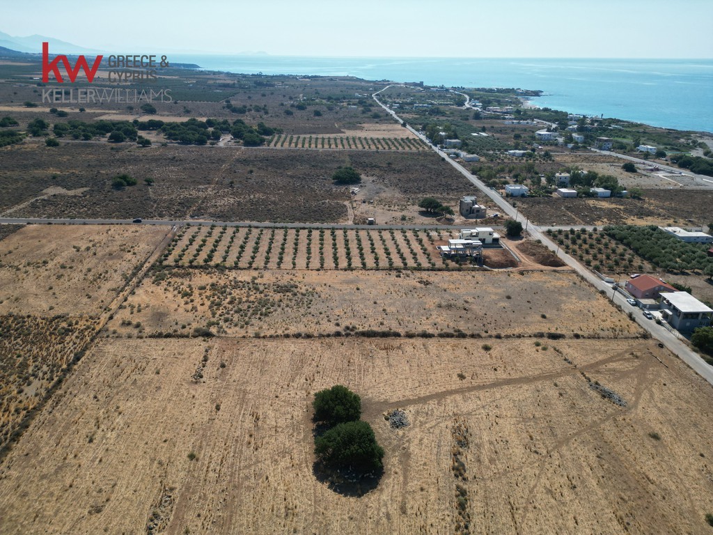 Οικόπεδο 9.746,74 τ.μ. προς πώληση, Φραγκοκάστελλο