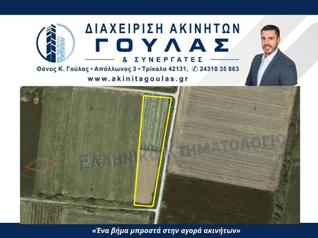 Αγροτεμάχια 6.040 τ.μ. πρός πώληση