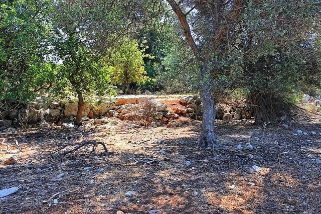 Οικόπεδο 2.019 τ.μ. πρός πώληση, Ν. Ρεθύμνου, Νικηφόρος Φωκάς