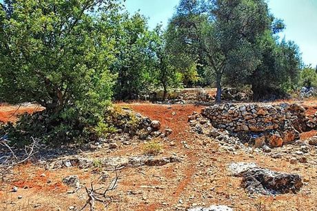 Οικόπεδο 2.019 τ.μ. προς πώληση