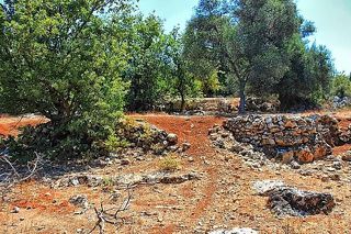 Οικόπεδο 2.019 τ.μ. για πώληση