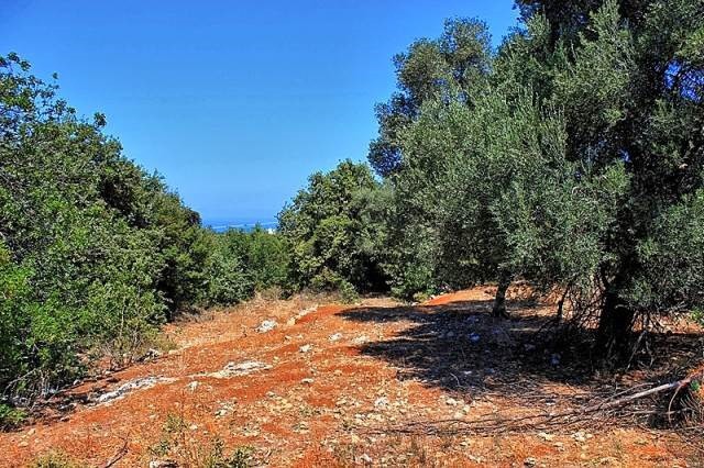 Οικόπεδο 2.019 τ.μ. πρός πώληση, Ν. Ρεθύμνου, Νικηφόρος Φωκάς