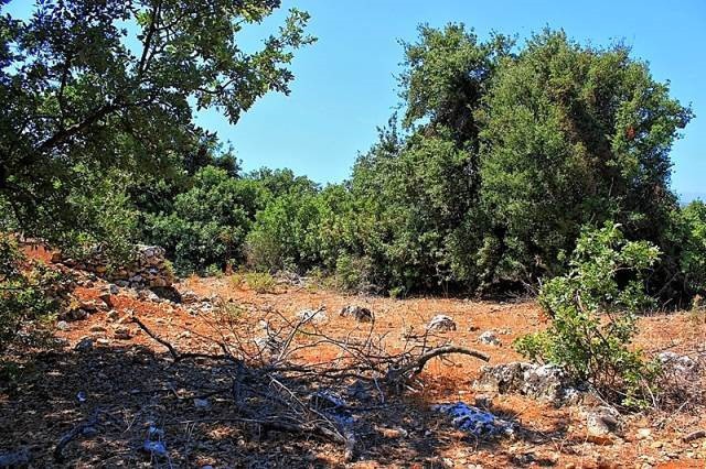 Οικόπεδο 2.019 τ.μ. πρός πώληση, Ν. Ρεθύμνου, Νικηφόρος Φωκάς