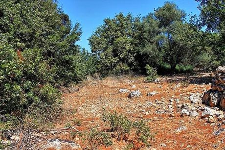 Οικόπεδο 2.019 τ.μ. πρός πώληση