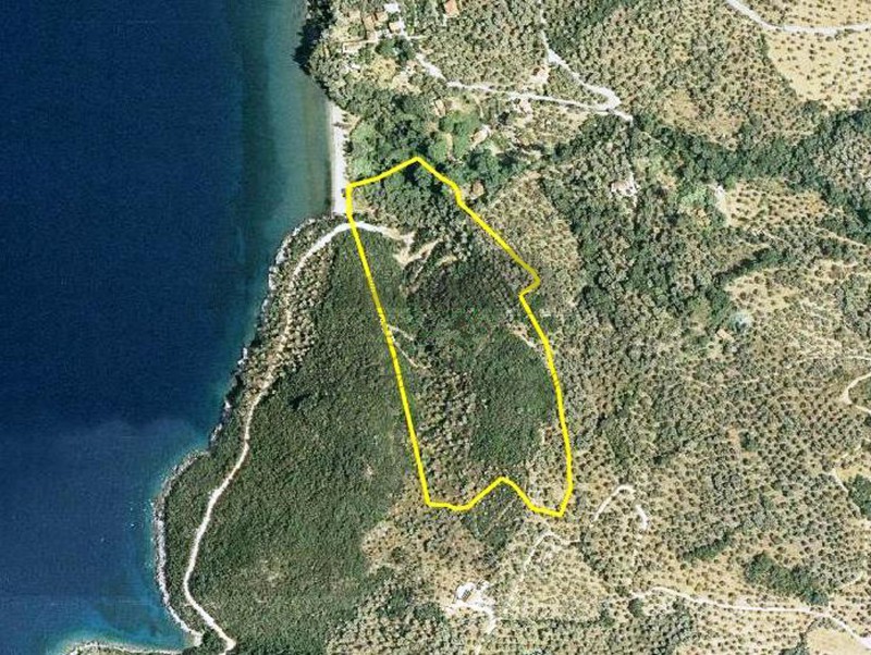 Αγροτεμάχια 54.000 τ.μ. προς πώληση, Μαγνησία, Αργαλαστή