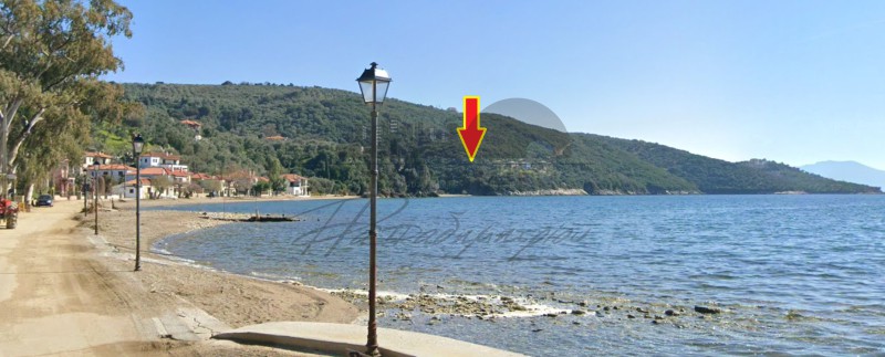 Αγροτεμάχια 54.000 τ.μ. προς πώληση, Μαγνησία, Αργαλαστή