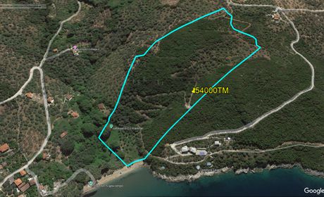 Αγροτεμάχια 54.000 τ.μ. πρός πώληση