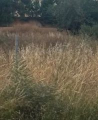 Land plot 206 sqm for sale