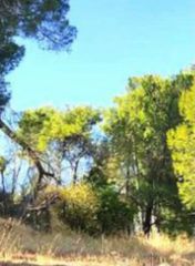 Land plot 360 sqm for sale