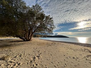 Βίλλα 480 τ.μ. για πώληση, Κυκλάδες, Άνδρος-thumb-22