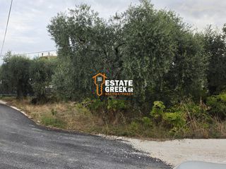 Οικόπεδο 1.070 τ.μ. για πώληση, Ν. Καβάλας, Θάσος-thumb-3