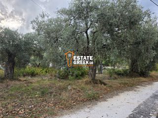 Οικόπεδο 1.070 τ.μ. για πώληση, Ν. Καβάλας, Θάσος-thumb-7