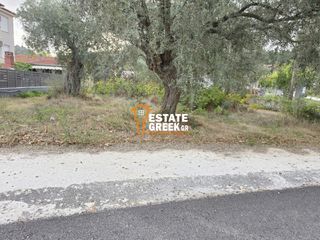 Οικόπεδο 1.070 τ.μ. για πώληση, Ν. Καβάλας, Θάσος-thumb-4
