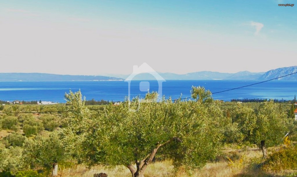 Οικόπεδο 4.124 τ.μ. προς πώληση, Λουκίσια