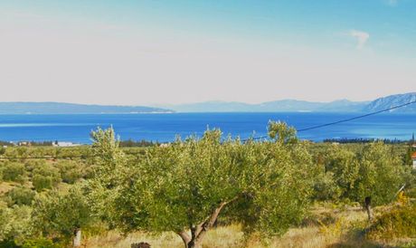 Οικόπεδο 4.124 τ.μ. προς πώληση