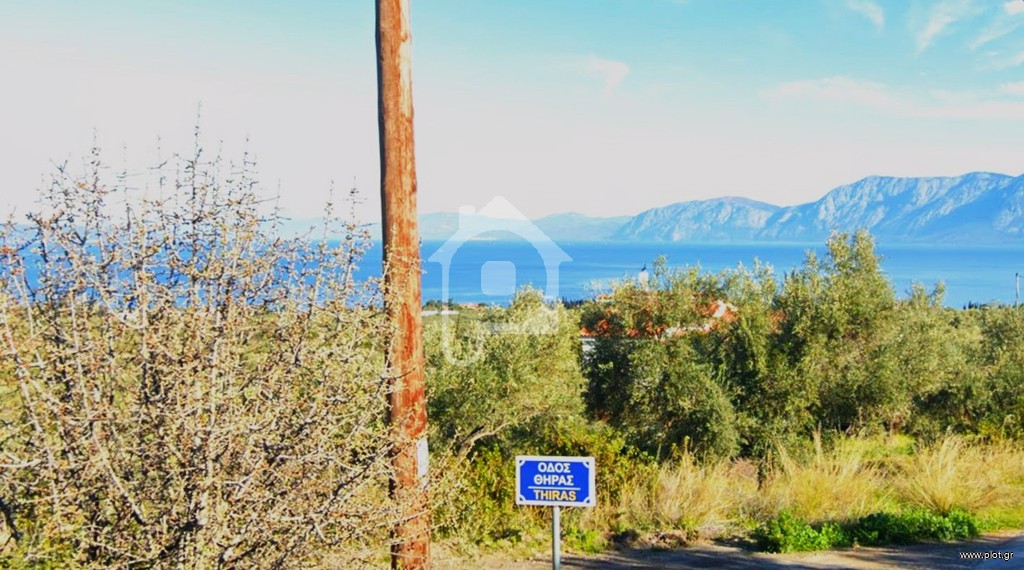 Οικόπεδο 4.124 τ.μ. προς πώληση, Λουκίσια