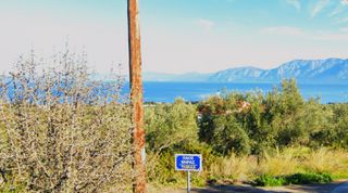 Οικόπεδο 4.124 τ.μ. προς πώληση, Λουκίσια-thumb-2