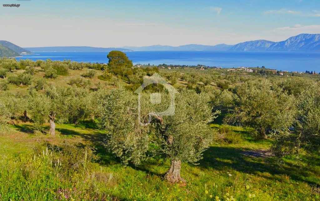 Οικόπεδο 4.124 τ.μ. προς πώληση, Λουκίσια