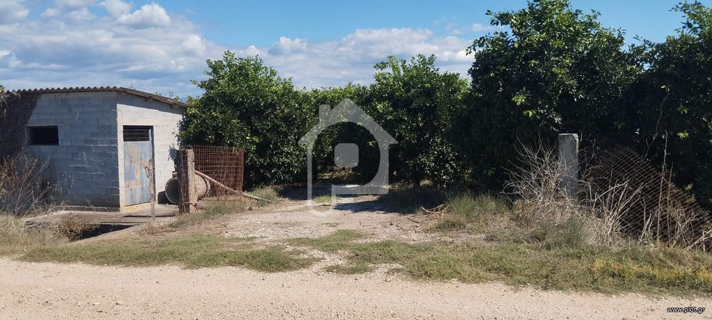 Αγροτεμάχια 7.625 τ.μ. πρός πώληση, Ν. Άρτας, Άραχθος